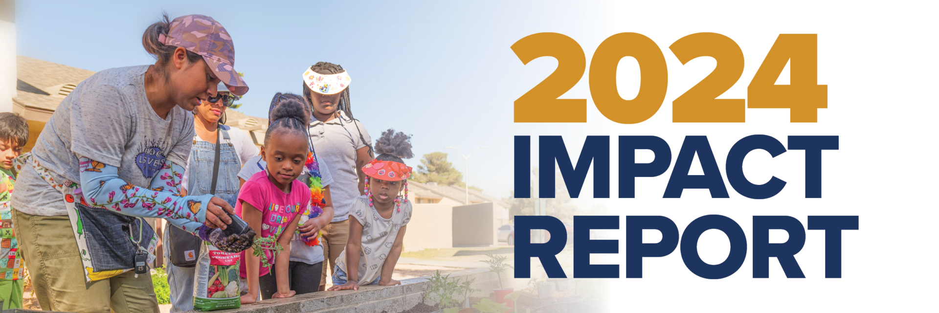 WEB25_004 – Impact Report